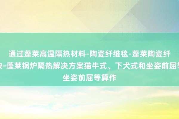 通过蓬莱高温隔热材料-陶瓷纤维毯-蓬莱陶瓷纤维模块-蓬莱锅炉隔热解决方案猫牛式、下犬式和坐姿前屈等算作